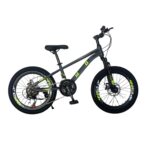DJEČIJI BICIKL 20" SIVA 6407001-G